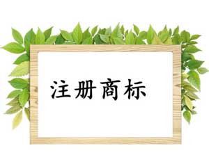 介绍张家港商标的概念和功能 